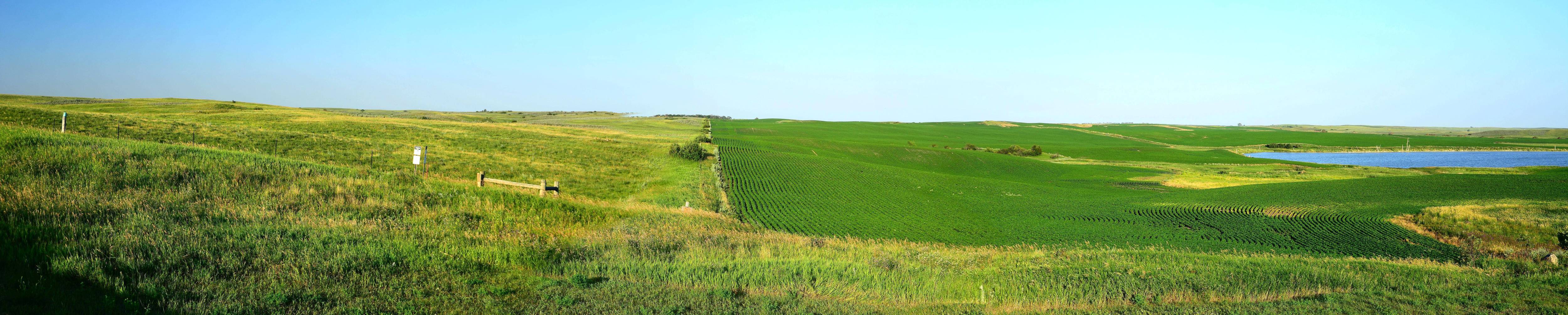 Landscape image of a prairie abutting a cornfield