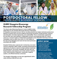 Keegstra fellowship program flyer thumbnail