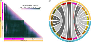 Correction of misassembled region in the version 1 sorghum reference genome assembly and integration of new sequence.