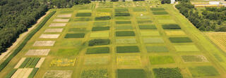 Aerial view of GLBRC KBS LTER cellulosic biofuels research experiment