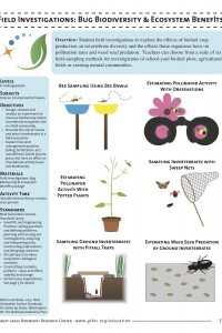 Bug Biodiversity and Ecosystem Benefits Teacher Guide