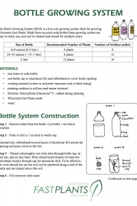 Energy Transformation in Plants Package