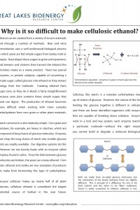 Why Is It So Difficult to Create Cellulosic Ethanol