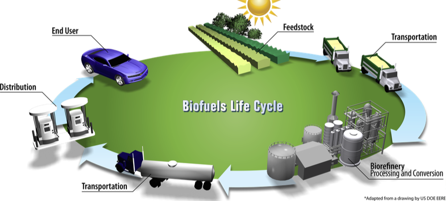 Biofuels life cycle