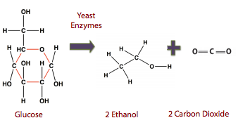 Cellulosic Ethanol