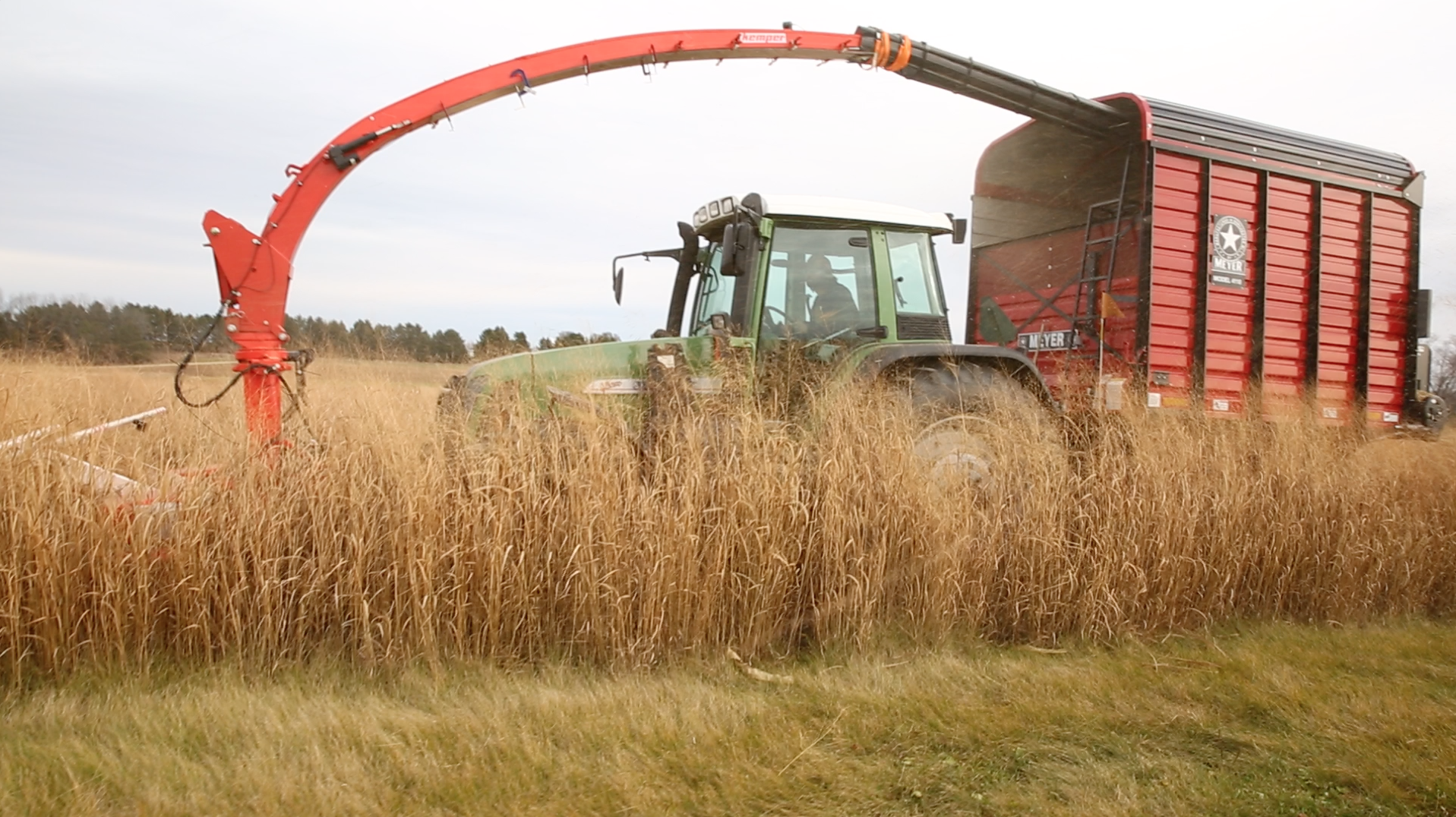 Switchgrass Harvest