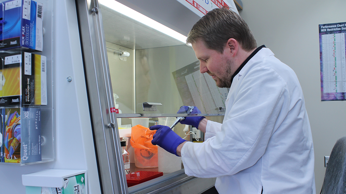 A man in a white lab coat and blue latex gloves pipettes liquid under a ventilation hood