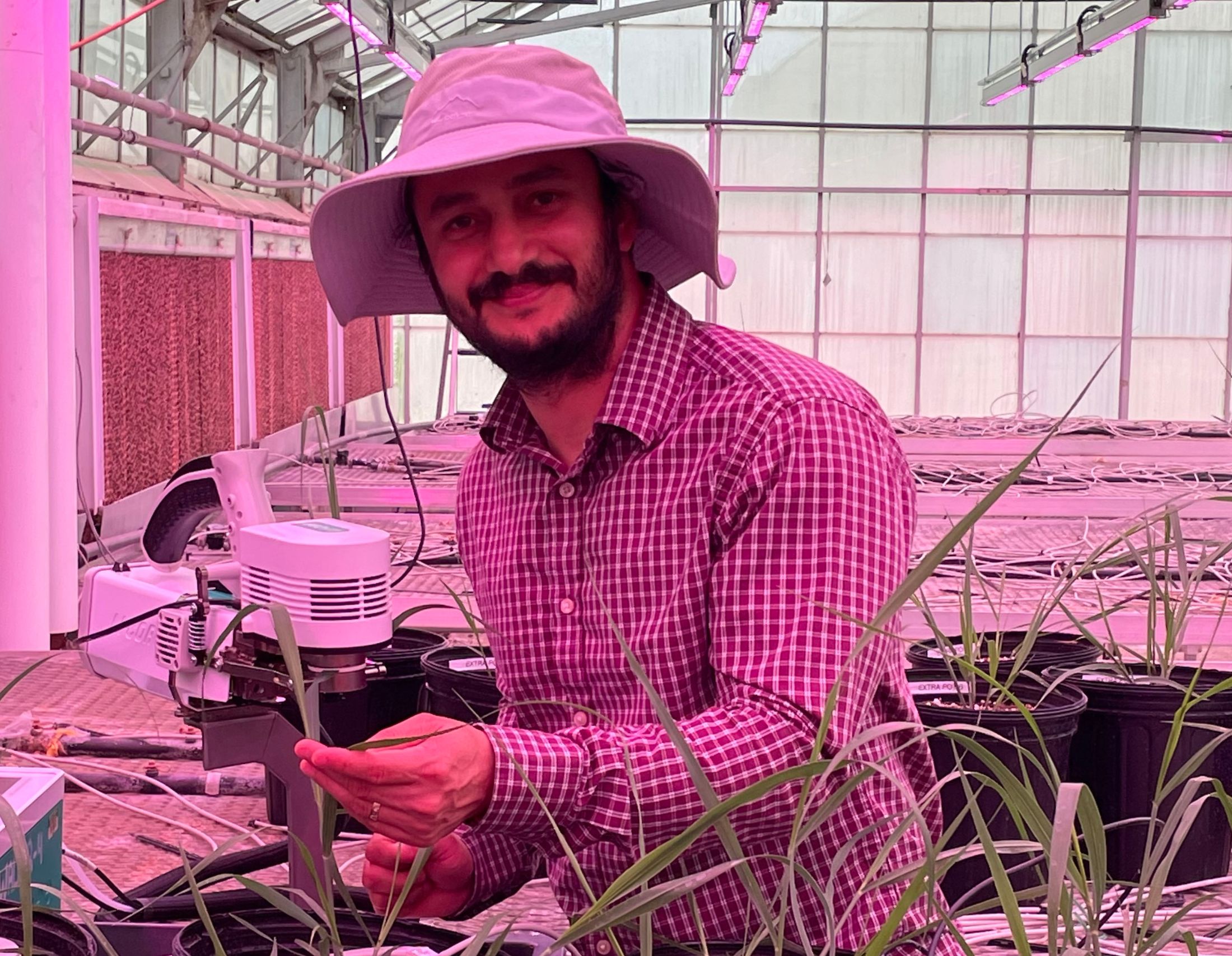 Binod Basyal, postdoc in GLBRC's Plant Research Laboratory at MSU