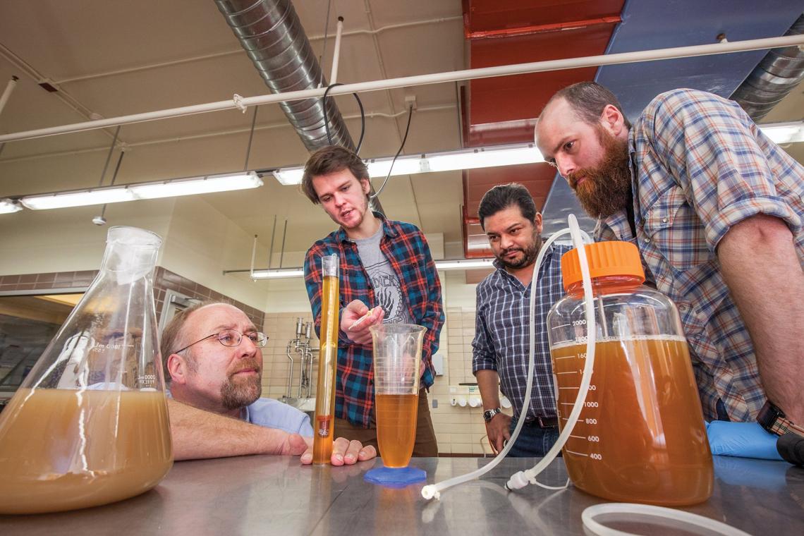 Brewing Beer