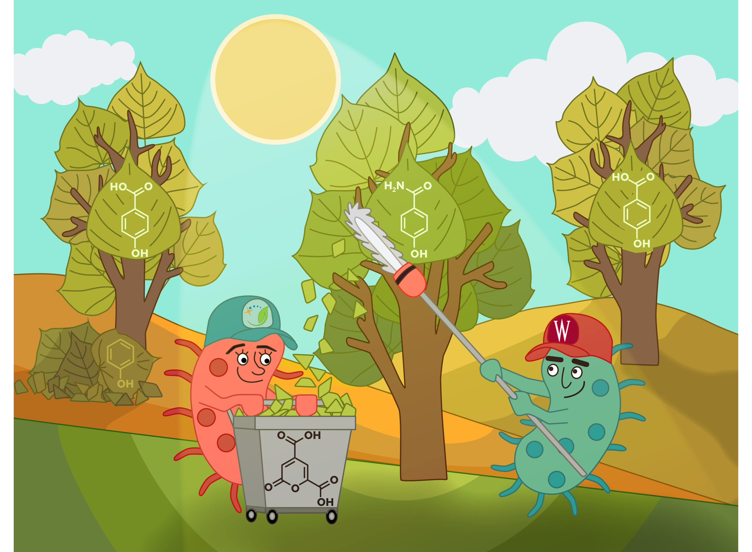 Cartoon illustration showing two anthropomorphized microbes with caps (one coral-colored, one teal) collecting phenolic compounds from poplar trees. The trees display molecular structures of phenolic compounds (showing benzene rings with OH groups). One microbe operates a cart filled with collected phenolic molecules, while the other holds a collection tool.