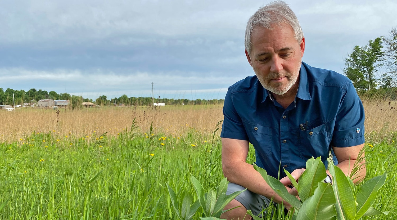 Doug Landis kneeling in a field of diverse plants