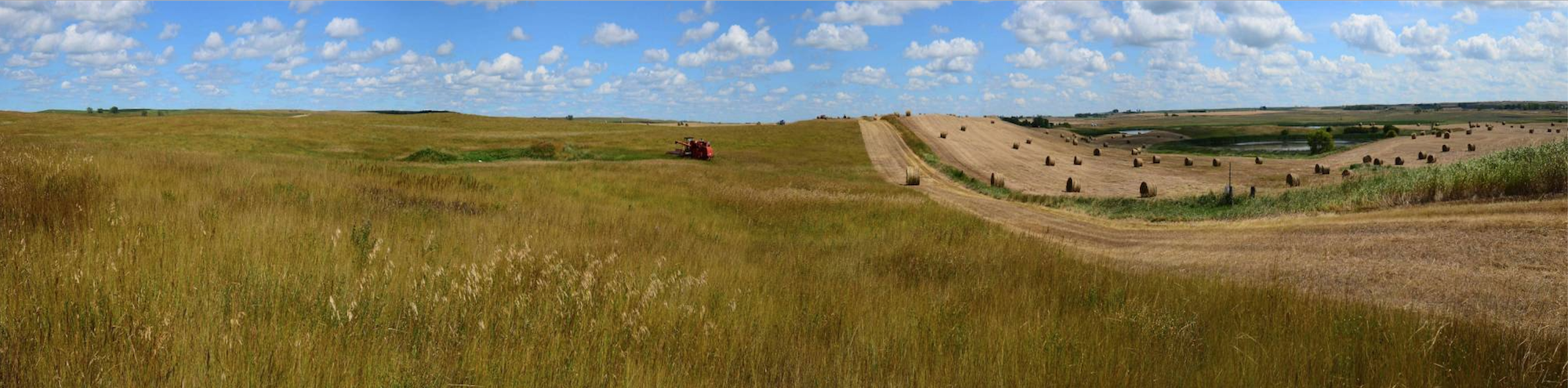 north dakota field