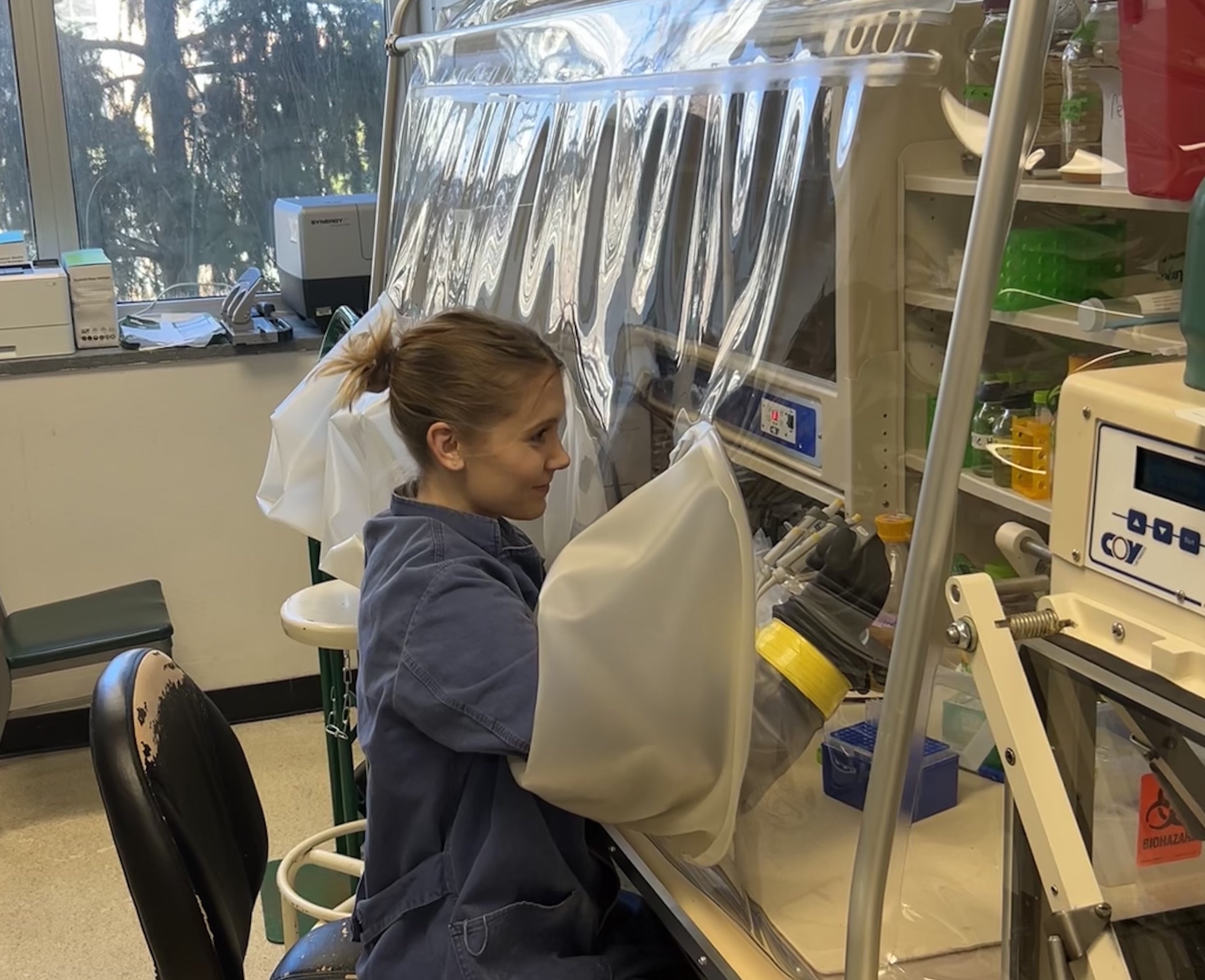 Woman seated at a lab bench with her hands in rubber gloves extending through a clear plastic shield