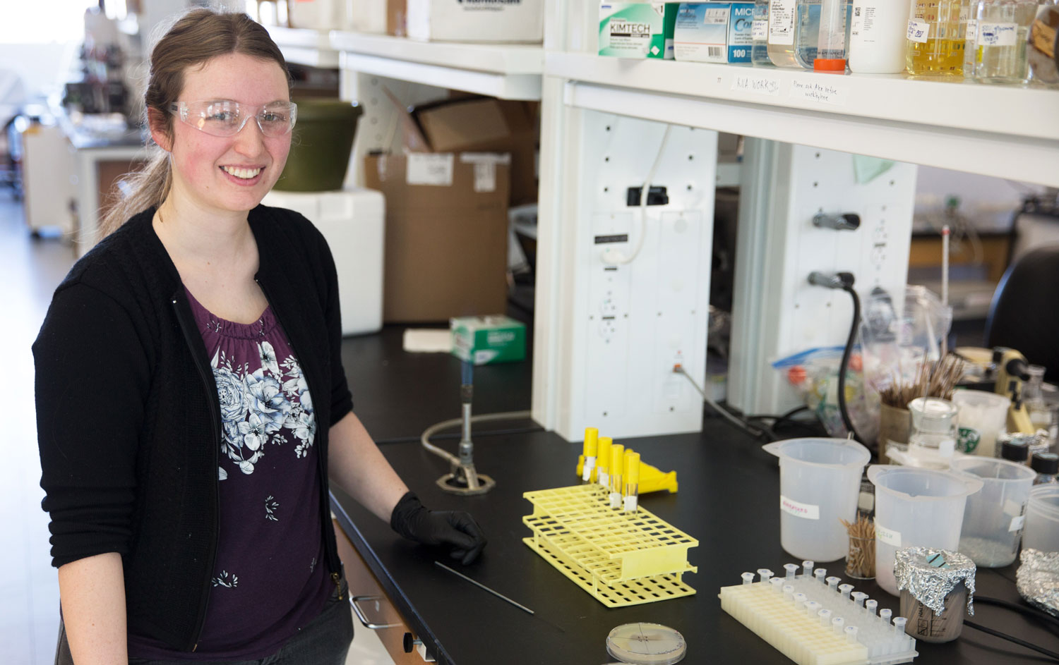 Linz at lab bench