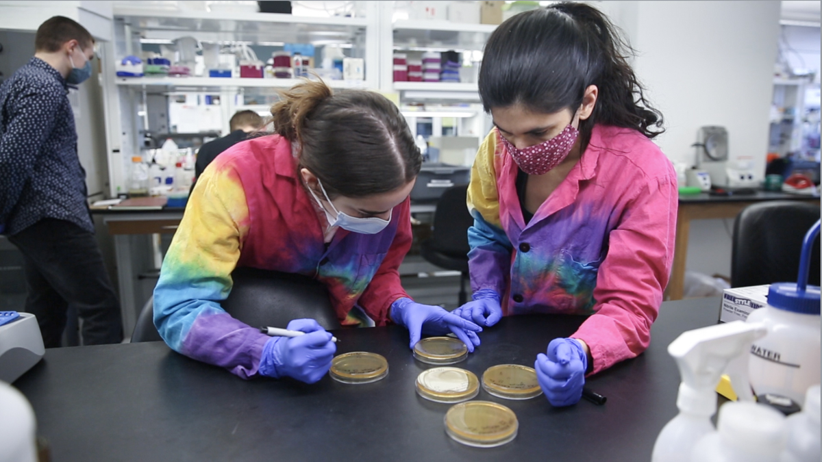 Women in tie-dyed lab coats examine petri dishes on a black bench