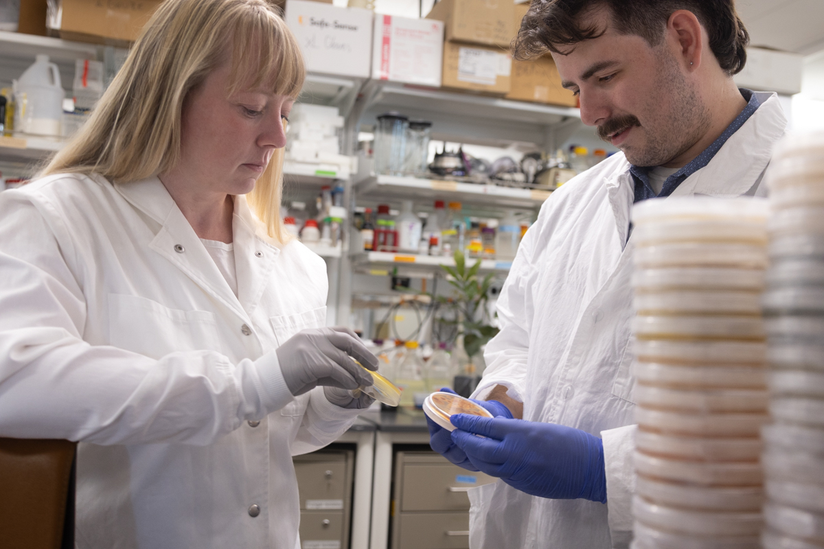 A woman and a man in white lab coats look at petri dishes in a laboratory