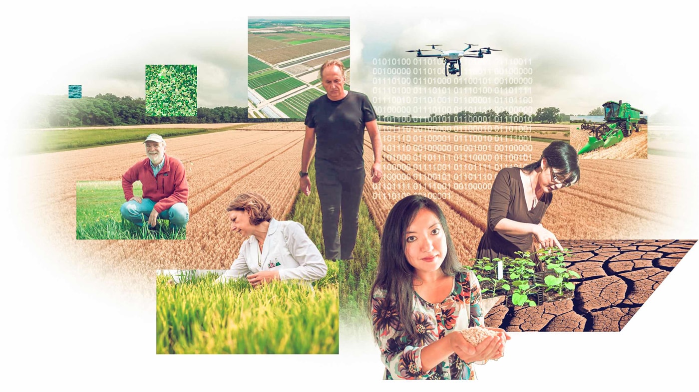 A collage of different researchers working in a variety of agriculture fields