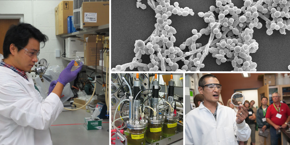 Clockwise from left: Mingjie Jin, image of yeast, Trey Sato, and image of a fermenter.