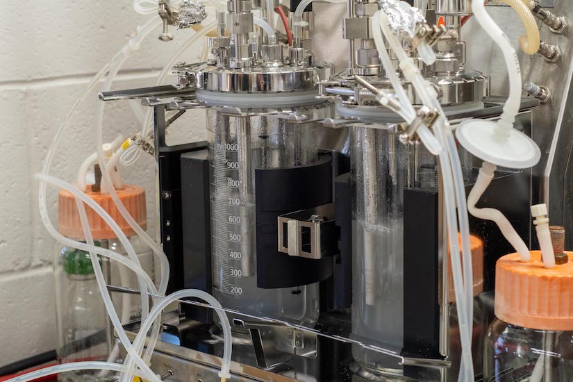 Path finder: Pfleger lab uses bacteria to convert biomass into ...