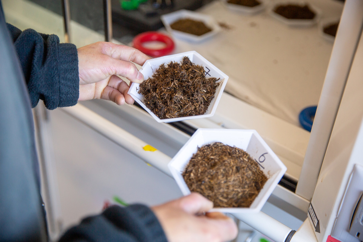A researcher in a lab holds two white hexagonal trays containing fibrous brown particles.. Additional sample trays are visible on the laboratory bench in the background.