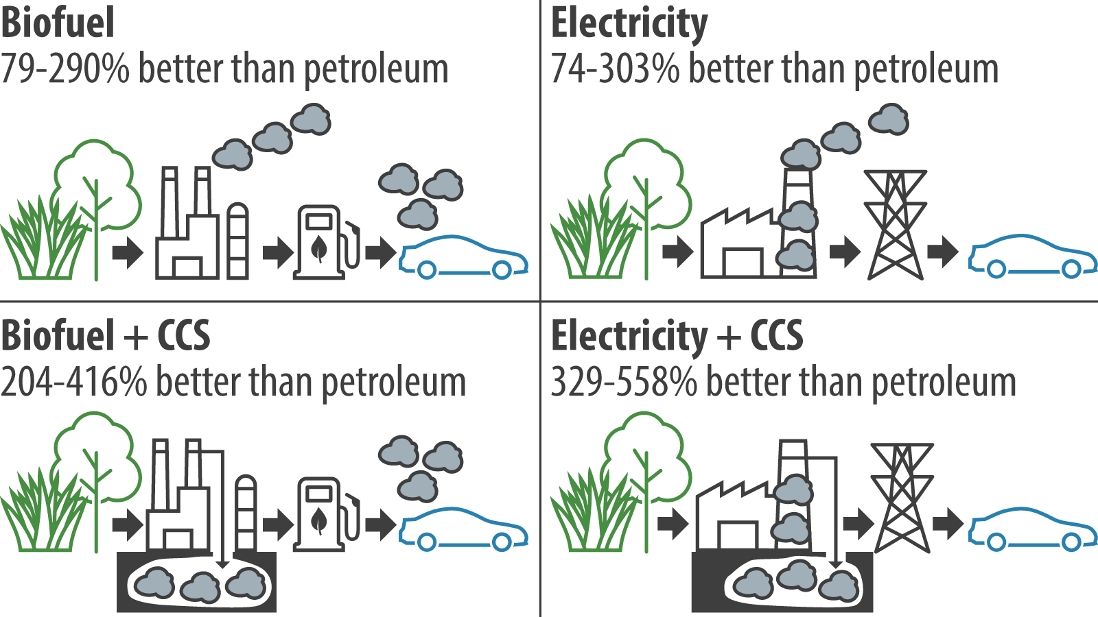 Graphical abstract of the publication 