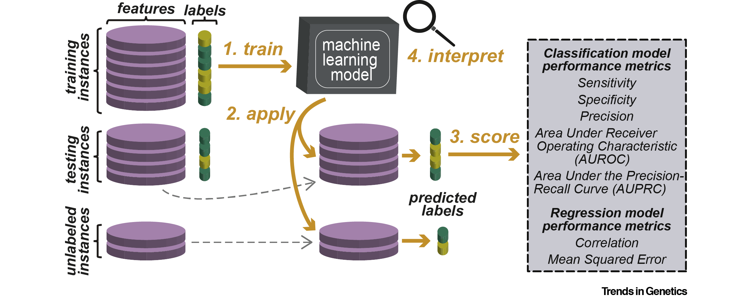 machine learning overview