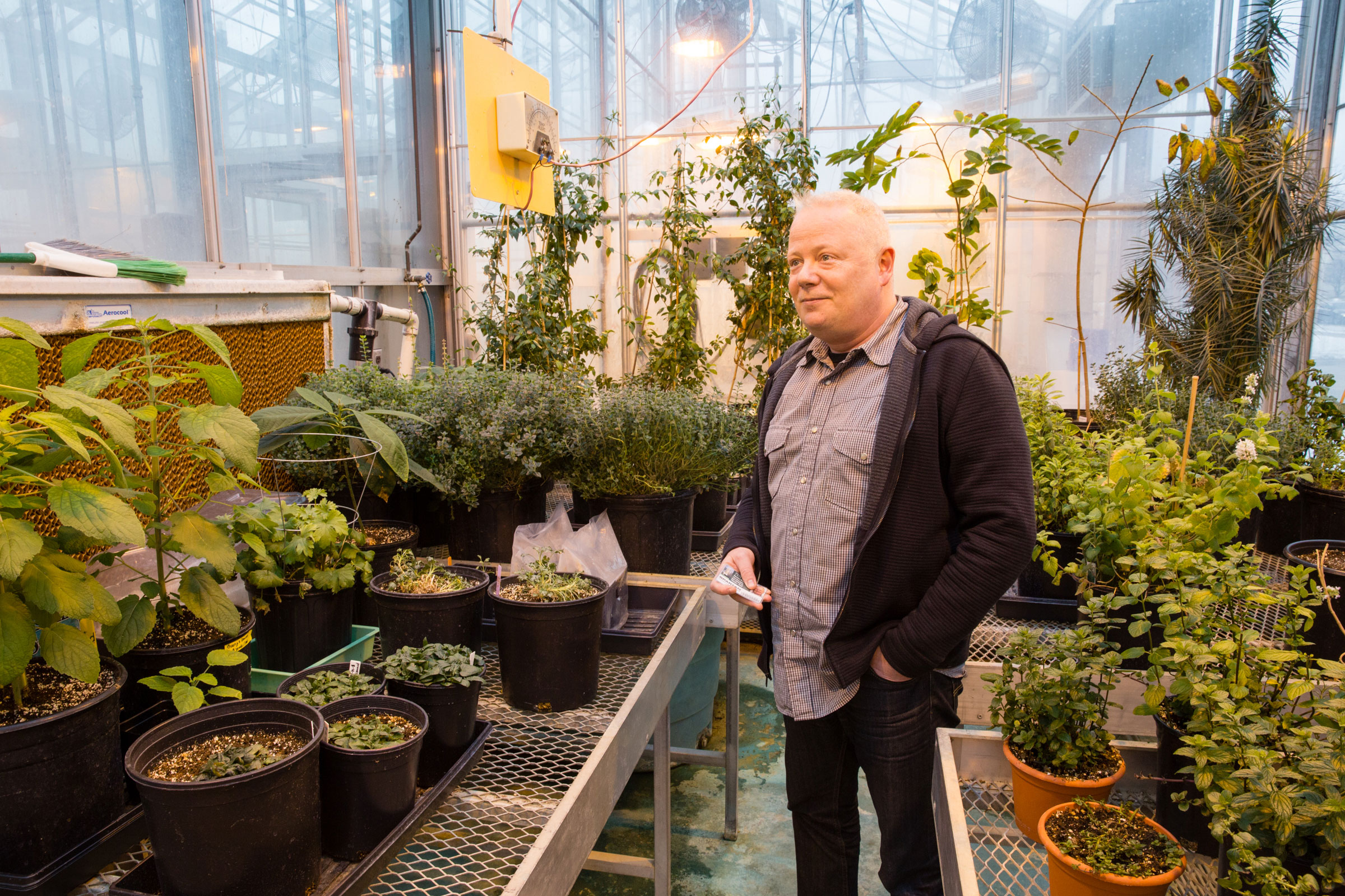 Man with short white hair looks to the side in a greenhouse full of plants