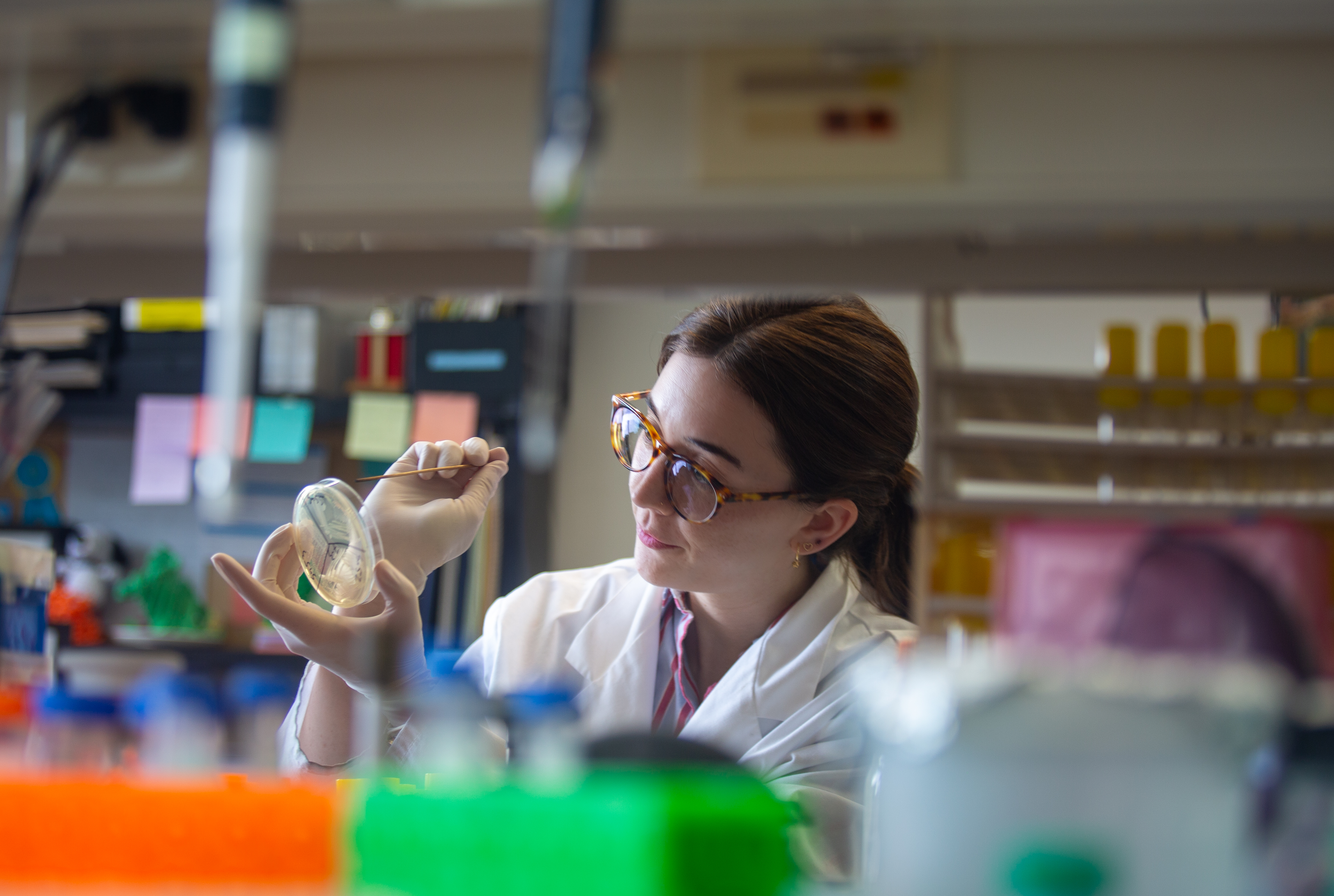 woman in white lab coat examines petri dish. 