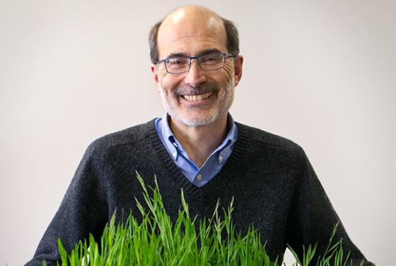 richard amasino 