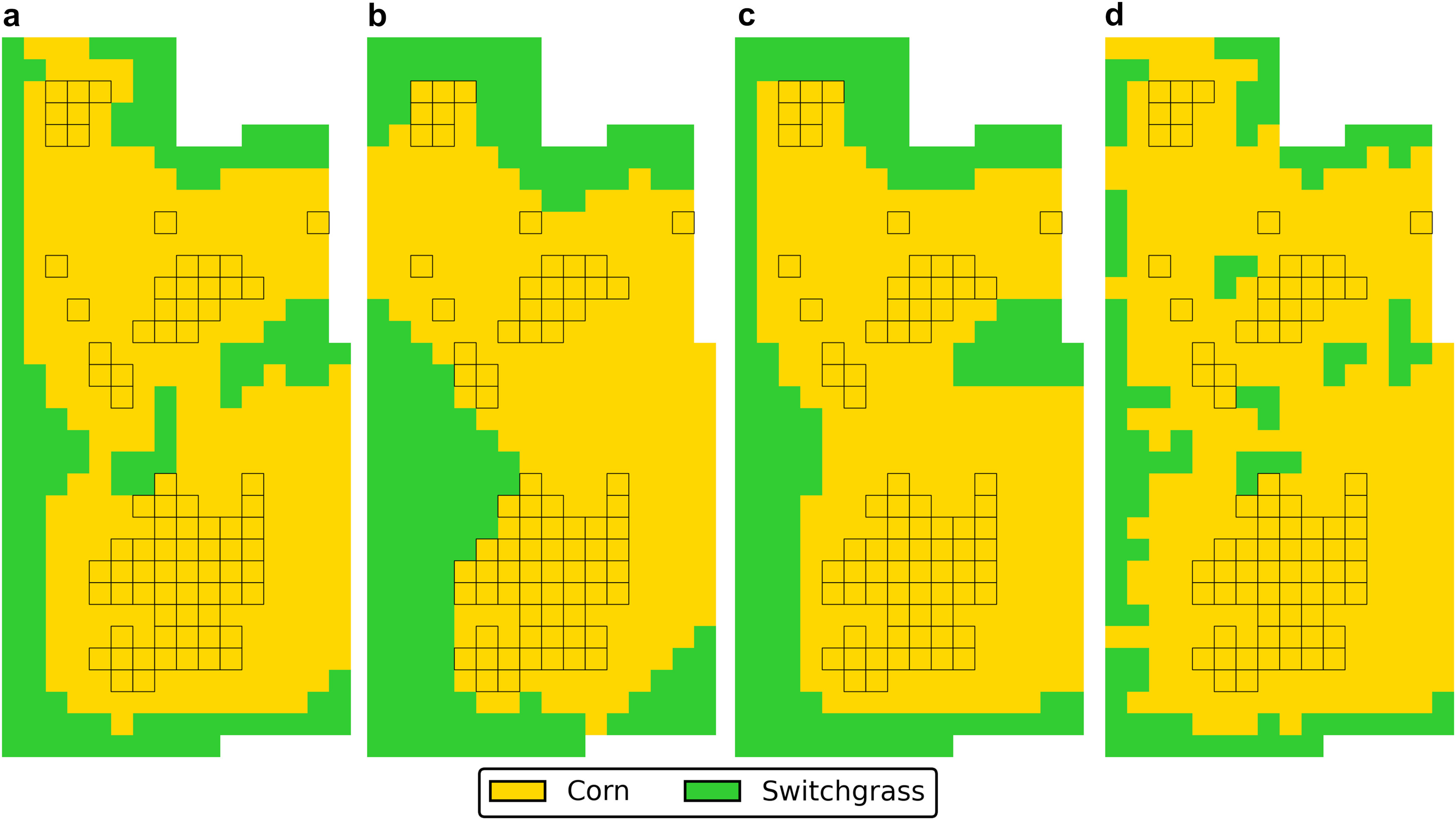 Four field layout patterns (labeled a, b, c, and d) comparing corn (yellow) and switchgrass (green) cultivation configurations. The patterns show varying distributions of switchgrass around the perimeter and within the corn fields. Layout d shows the most intermixing of the two crops, while layouts a, b, and c show more segregated patterns with switchgrass primarily at the borders.