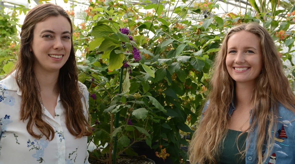 Emily Lanier and Abigail Bryson stand in front of a mint plant in a greenhouse