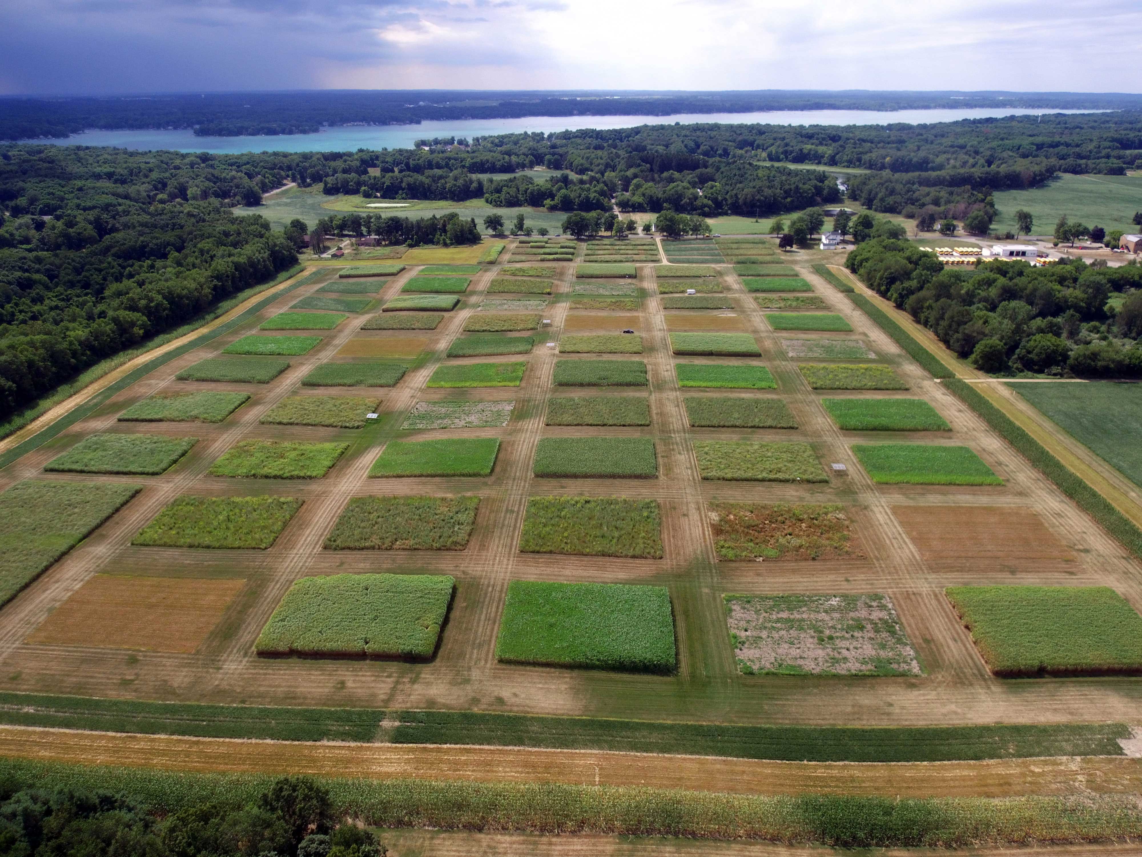 Aerial view of field with grid of square-shaped plots 