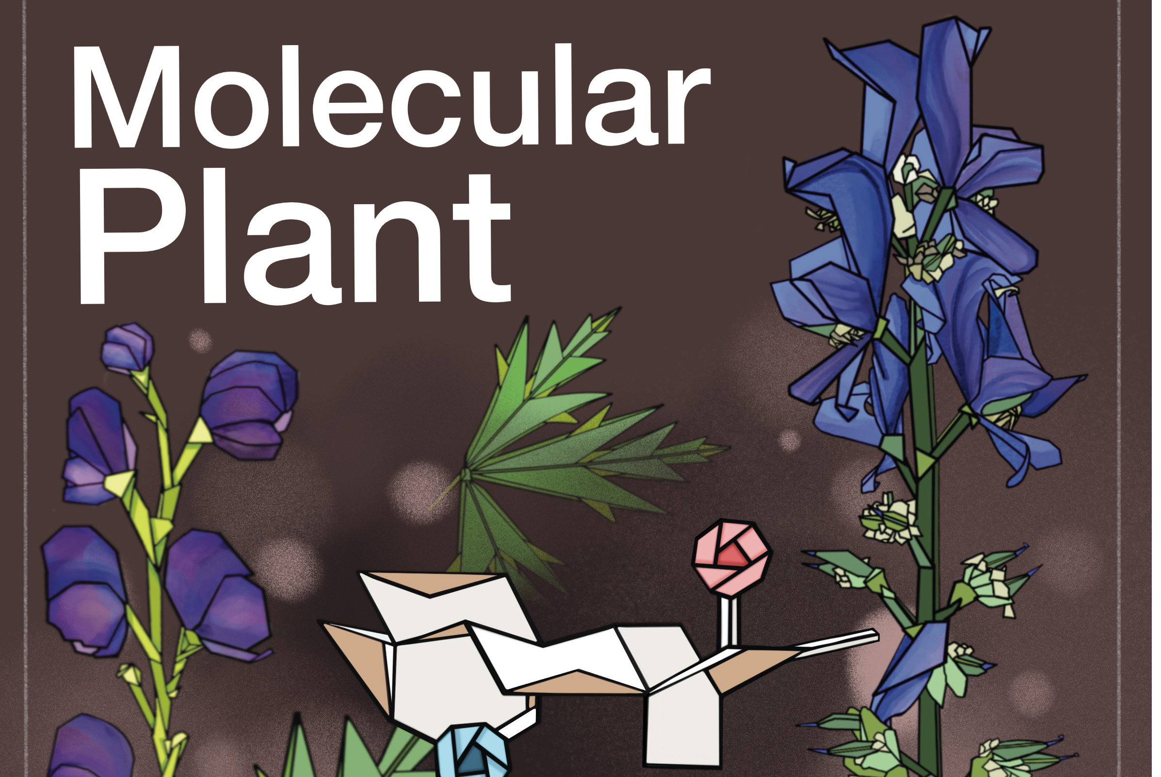 Molecular Plant journal cover featuring a stylized illustration of Aconitum and Delphinium flowering plants flanking an origami-style diterpenoid alkaloid molecule and a petri dish with crystals, rendered in a stained-glass aesthetic against a dark background.