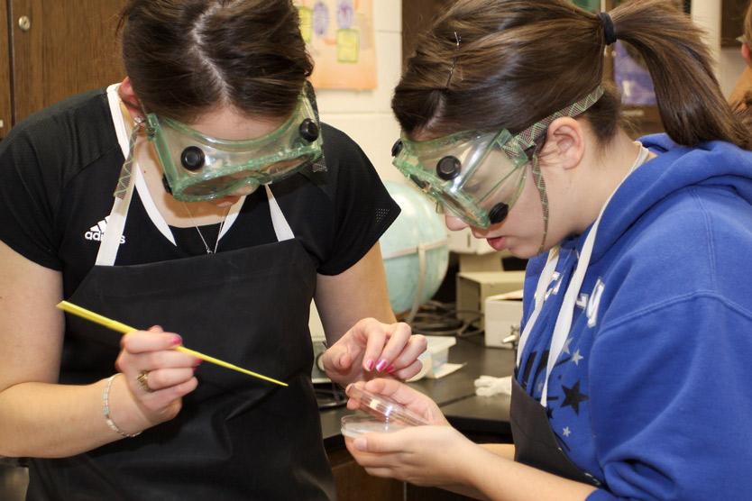 Two of Knapp's Waunakee High School students streaking samples onto CMC plates.