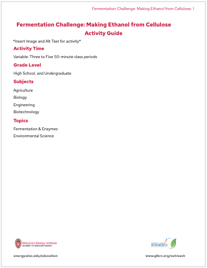 Thumbnail preview of the first page of the activity guide