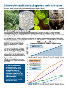 First page thumbnail of the BRC Program Overview