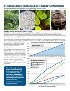 First page thumbnail of the BRC Program Overview