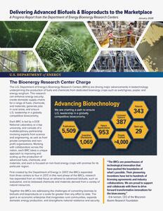 First page thumbnail of the BRC Program Overview