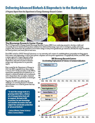 BRC Program Overview