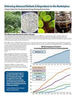 BRC Program Overview