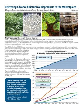 First page thumbnail of the BRC Program Overview
