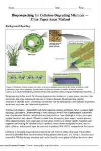 Bioprospecting - Filter Paper Assay Package