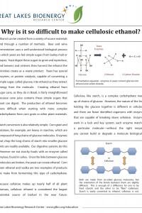 Why Is It So Difficult to Create Cellulosic Ethanol