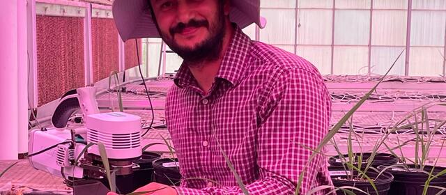 Binod Basyal, postdoc in GLBRC's Plant Research Laboratory at MSU