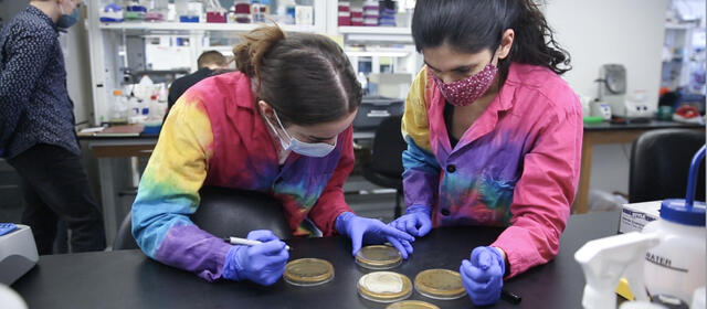 Women in tie-dyed lab coats examine petri dishes on a black bench