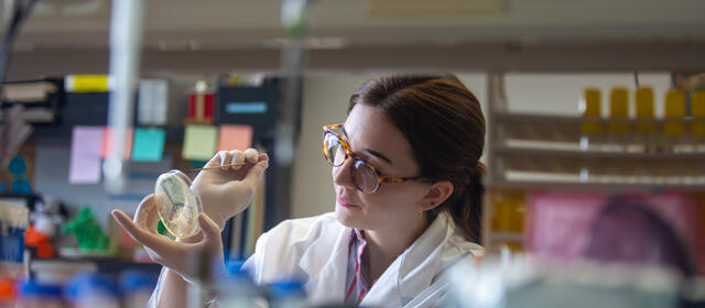 woman in white lab coat examines petri dish. 