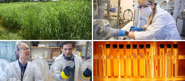 Collage of four GLBRC research images
