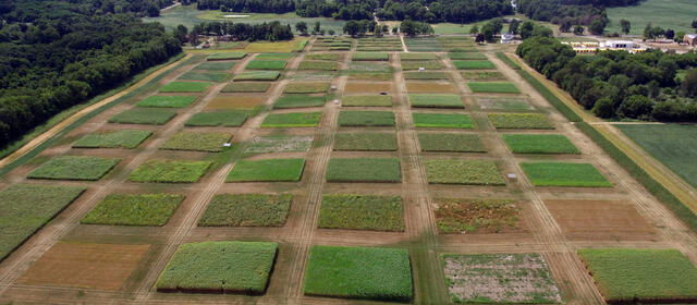 Aerial view of field with grid of square-shaped plots 
