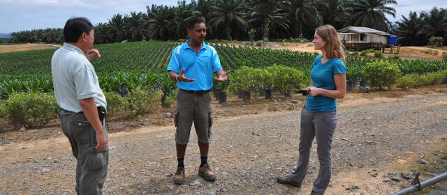Three people converse outdoors at a tropical agricultural site, with rows of oil palm seedlings in a nursery and mature oil palm trees visible in the background.