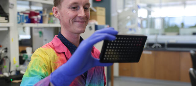 A blonde man in a tye-dyed lab coat holds a square tray in one blue gloved hand